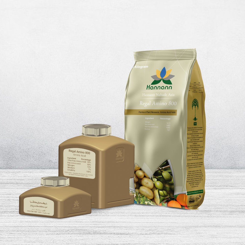 Regal Amino